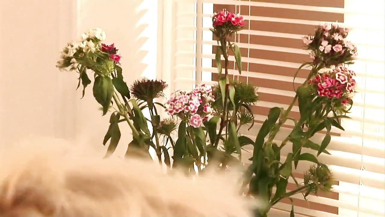 Keni Styles takes on two hot and busty babes