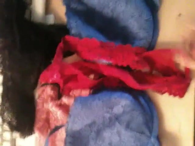cumming on Brah and panties