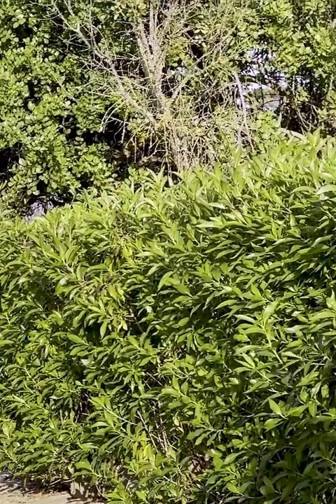 Volleyball Behind the Scenes