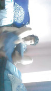 Pregled videozapisa