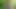 Sucking Cock in the Woods