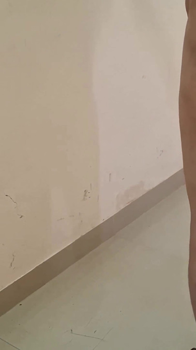 Housemaid Fun Horny Maid