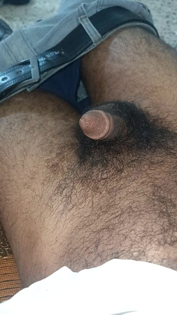 Cock of Cuckold 😂 Alloush