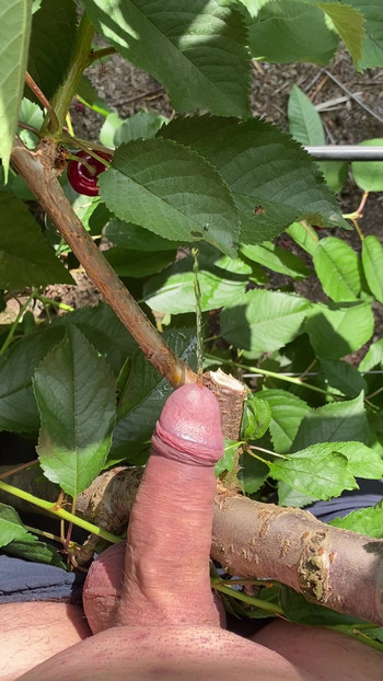 Handjob