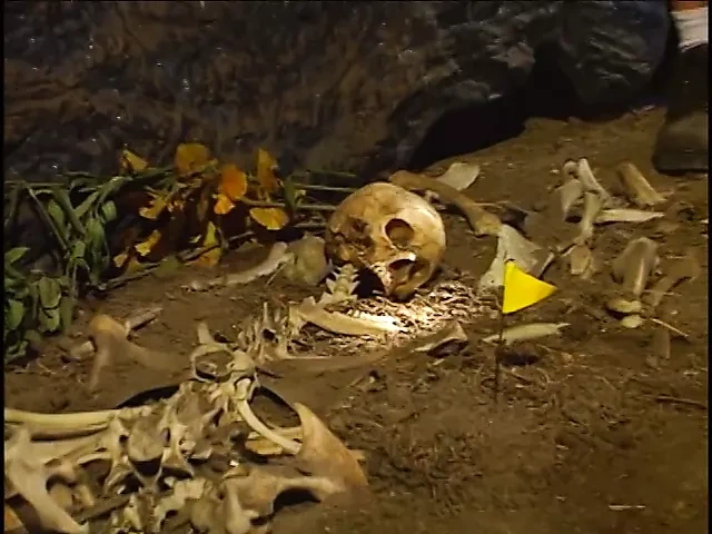 欲火中烧的金发女郎被她的紧穴双插