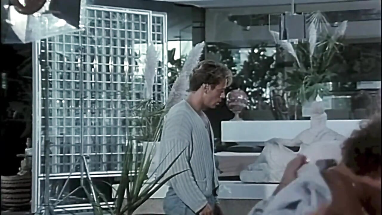 90年代のポルノ映画の内部