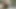 Hot fuck in Forest