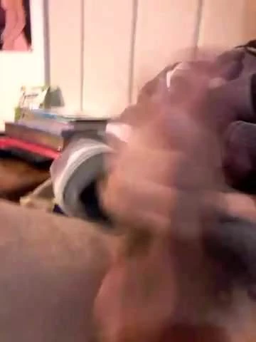 A little jerkin