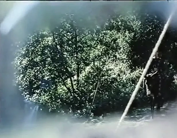 Pensieri Morbosi 1980. myegyforadult.com