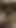 POV wanking cumshot
