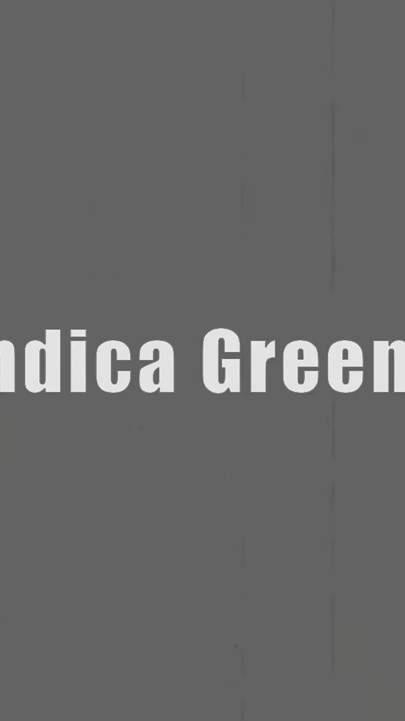 Manojobj Classics: Indica Greene