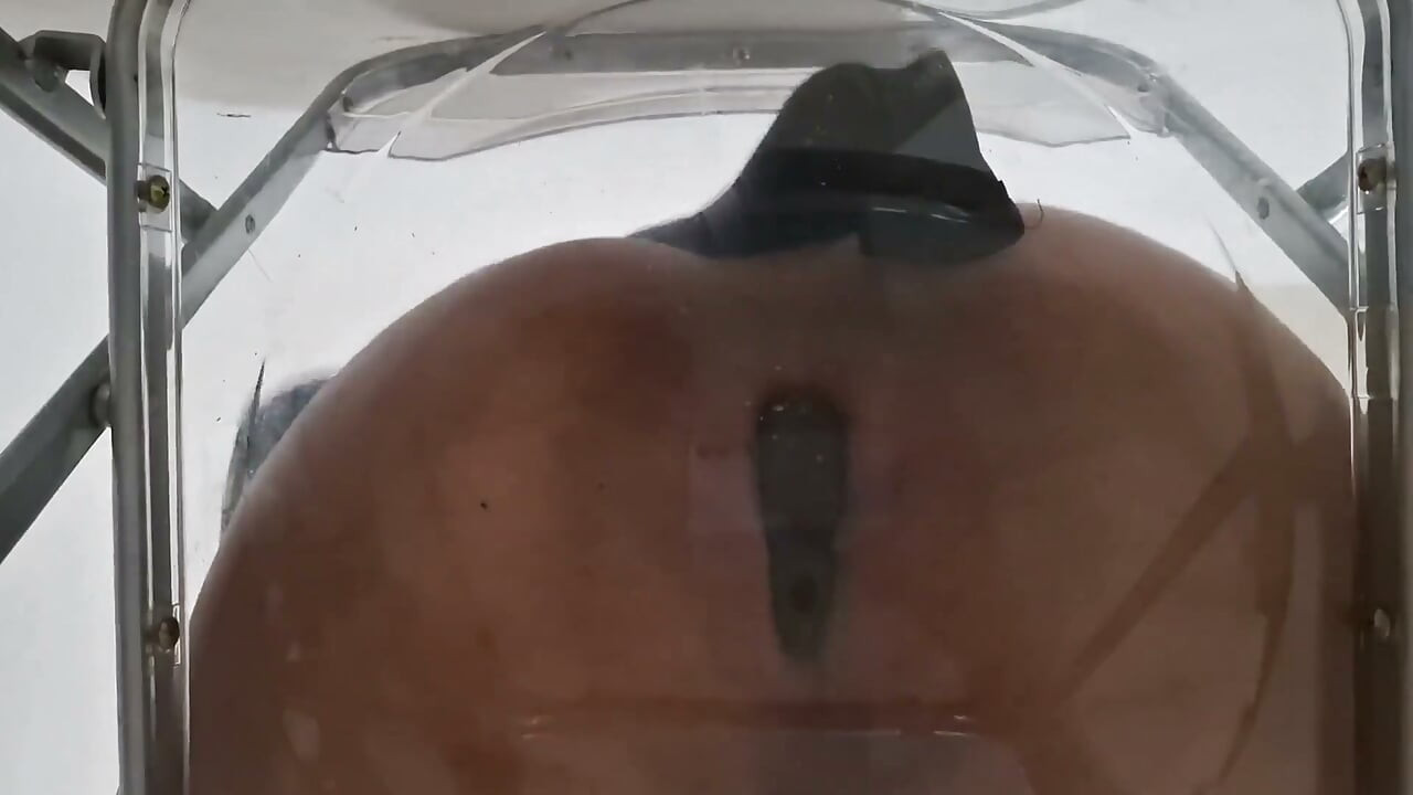 Extended Cut: POV Dirty Talk Fat Ass Goth Trans Facesitting and Anal Creampie After Riding Dildo on Transparent Chair