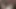 PrinceSleaze Riding 8in Brown Dildo with Thick Cream