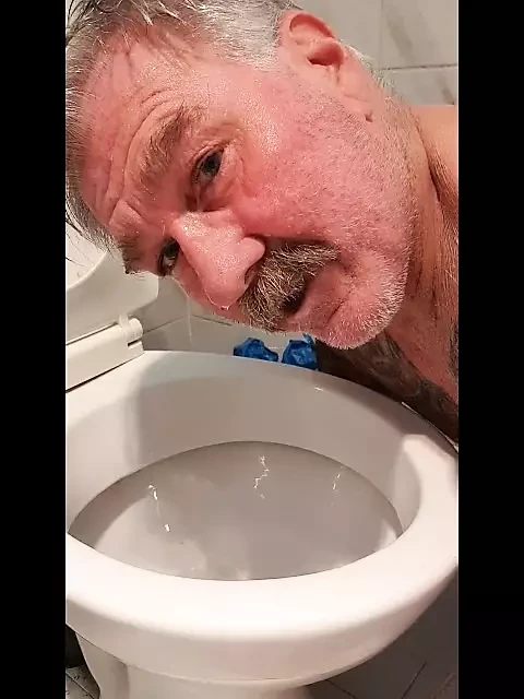 DOMME FLIKKER STEVE RYAN