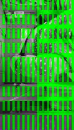 Chinese gir ldiy