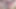 Double Dildo Couple Girl and Trans Compilation