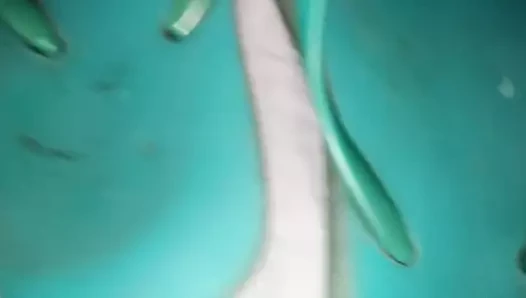 cum on sandals ,flip flops ,venida en sandalias