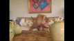 Pregled videozapisa