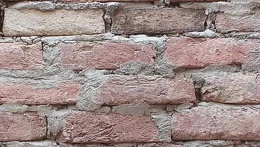 Сексуальное видео