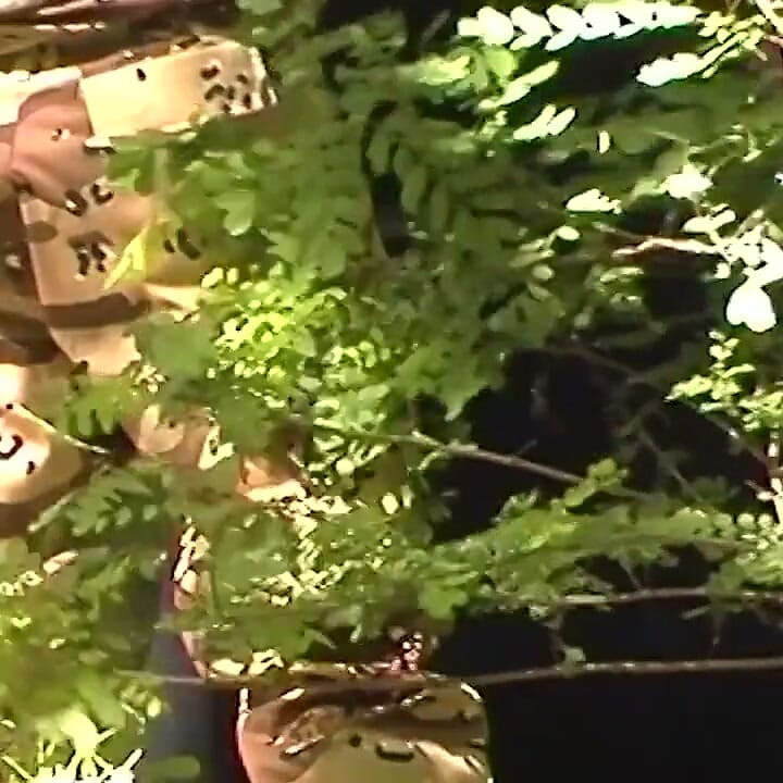 Extreme fat milf fucked in the forest