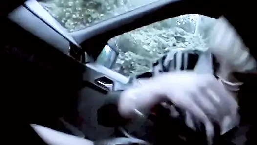Perverse MILF Will Im Auto Poppen