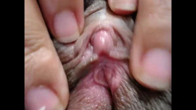 Big hairy pussy
