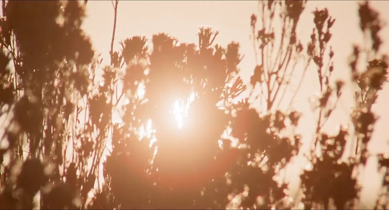 Five Loose Women (1974, US, full softcore movie, 2K rip)