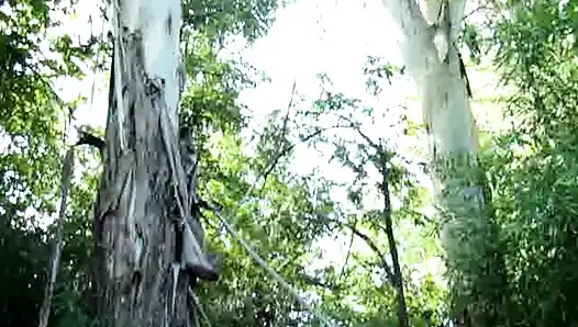 Kostenloser al-ary, amateur-sex