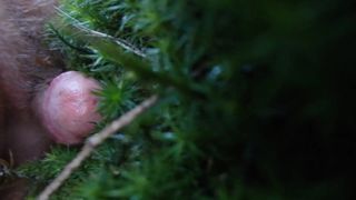 Peu de plaisir dans la forêt seul