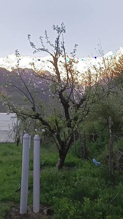 Parte 2 - Sexo ao ar livre com uma garota estranha na selva