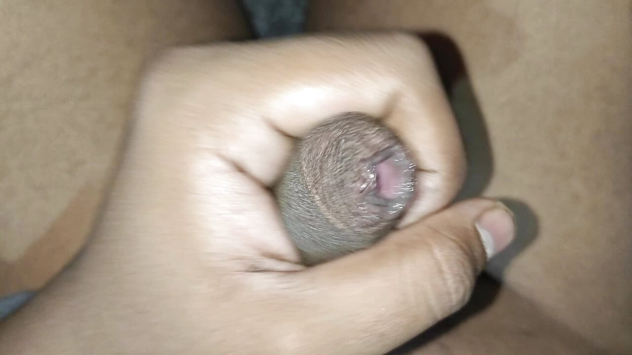 Big Dick Desi Indian 21 Year Boy Hard Camshot B