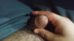 Anteprima video