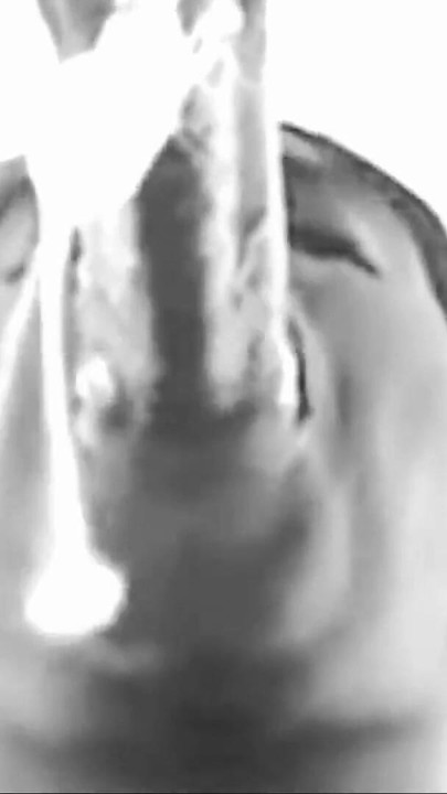PERFECT LIPS-goes black an white with a ass sloppy MOUTH!!! | Clip 2