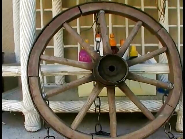 Razigrana debela novinska brineta Elizabeth Rollings vesla svojim kiselim krastavcem sjedeći na ležaljci