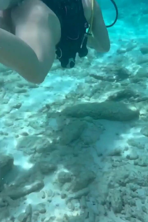 Tempo sozinho em Bonaire
