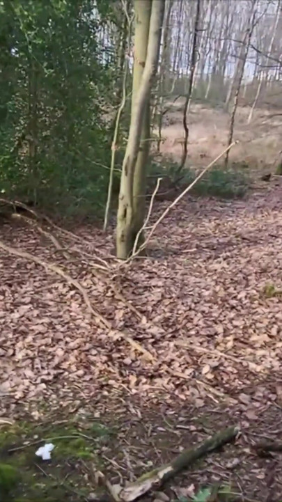 Having Fun Outdoor With Stranger Girl I Only Know From The Internet Deep In The Woods - Litclit69 | Clip 1