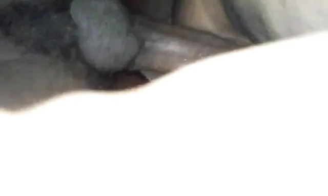 Ssbbw Courtney and i QUIIIICK CREAMPIE FINISH