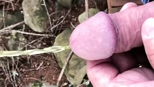 Free Pissing In The Woods Gay Porn Videos Xhamster