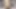 Büyük yarağını tasmayla siktim ve sıkı göt deliğini siktim! FULL VIDEO ONLYFANS'TA MEVCUT!