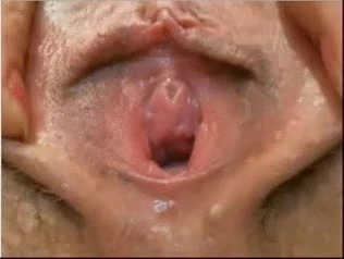closeup hairy pussy