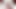 BBC Gooning & うめき声 コンピレーション: Blacked Hippie: 撫でて、縁取る
