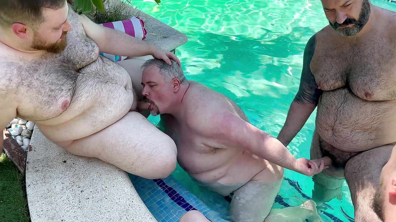 A Bunch of Bears in the Pool