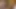 Amateur gay porn outdoors in a tent! Fucking a virtual guy in the mouth!