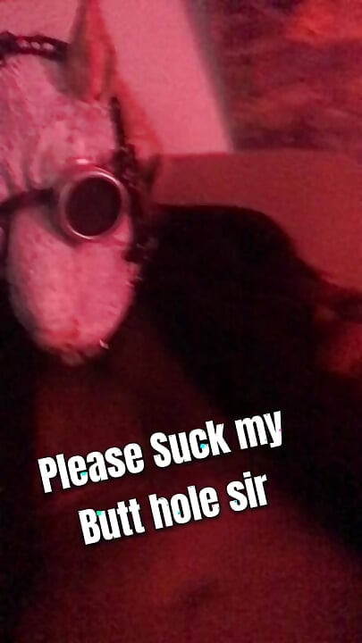 Per favore succhia nel mio buco del culo signore