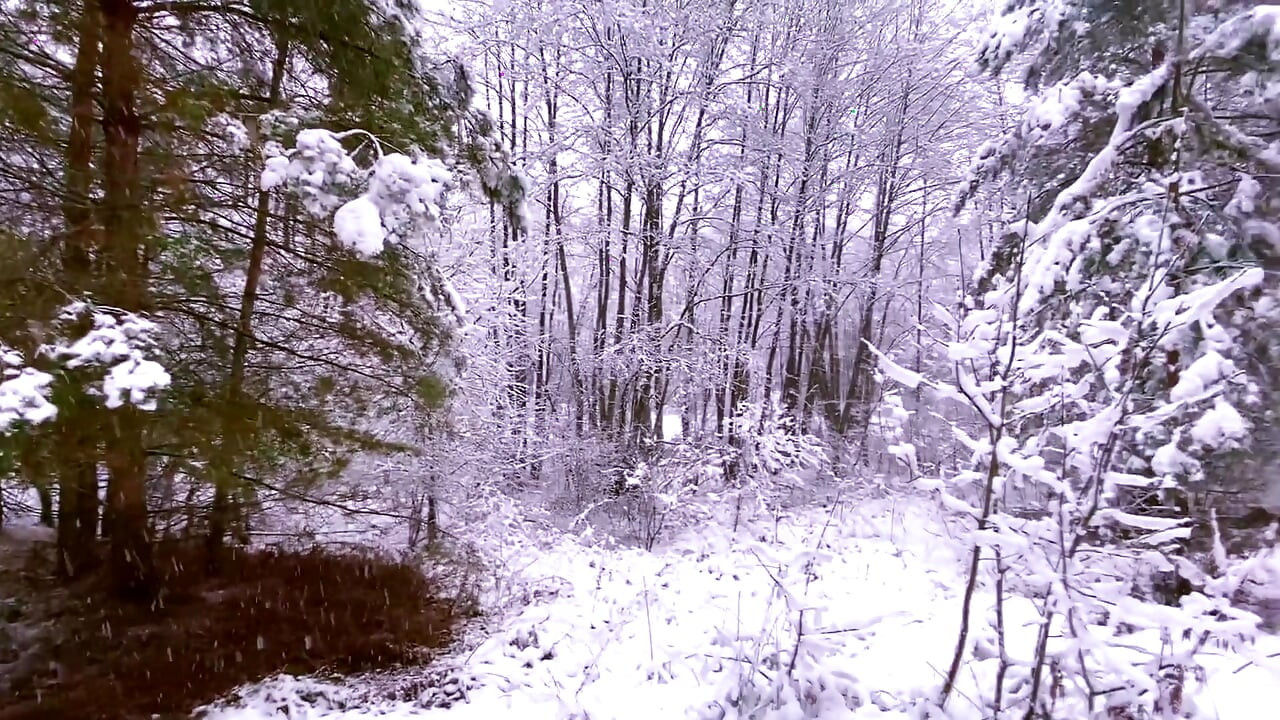 We Were Seen in the Forest as I Suck a Dick, I Had to Cum at Home