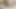 Desi girls muslim porn Sex video  Indian Desi school girl mms viral video teacher fuck anal