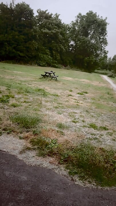 Naked in park standing on benches naked vehicles pass close