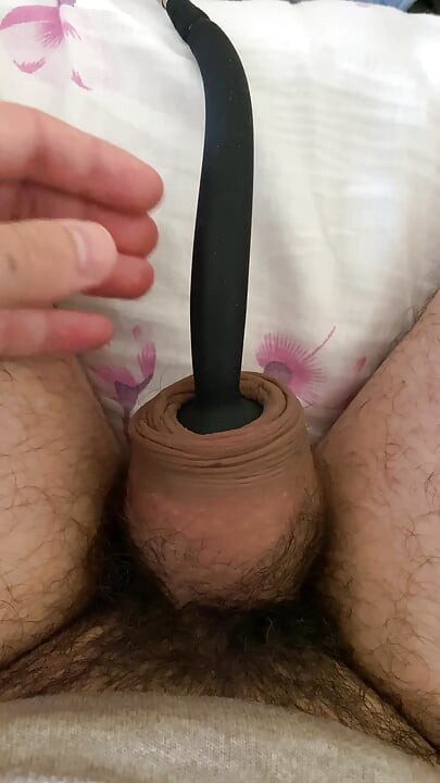 Cock humiliation porn