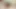seksi inek rolünde genç karısı (tam ve fanly bbwthaixxx içinde uncen)