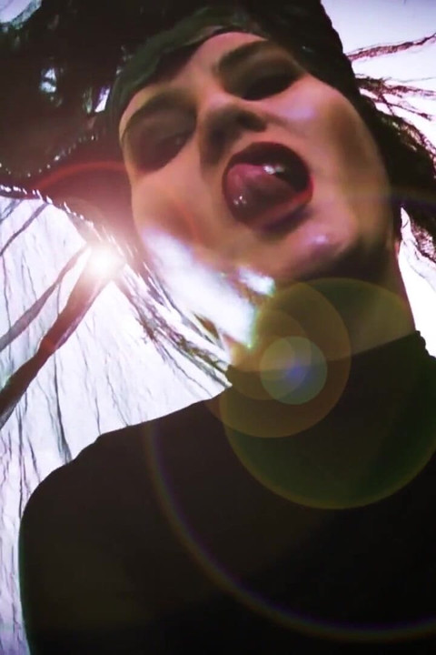 ذا ميلفيسينت